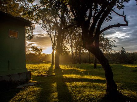 Bandipur National Park, Karnataka