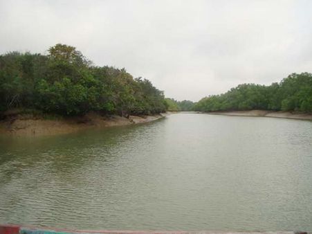 Bhitarkanika Mangrove