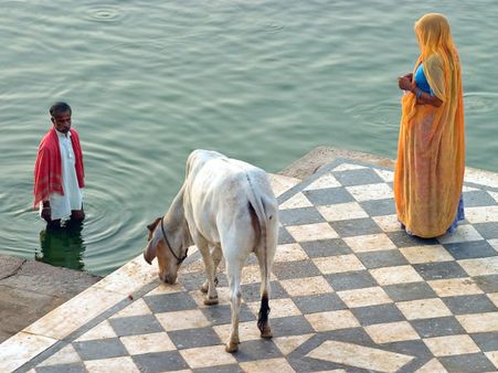 Where to Stay in Pushkar