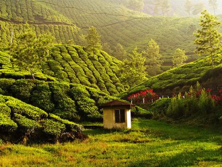 Munnar