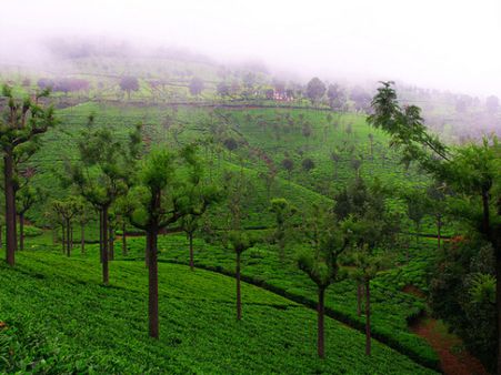 Coonoor