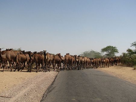 How to Reach Chittorgarh