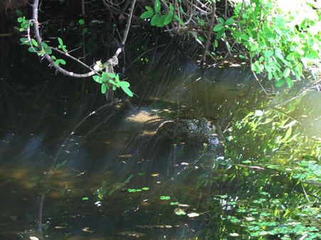 Ananthapura Lake Temple