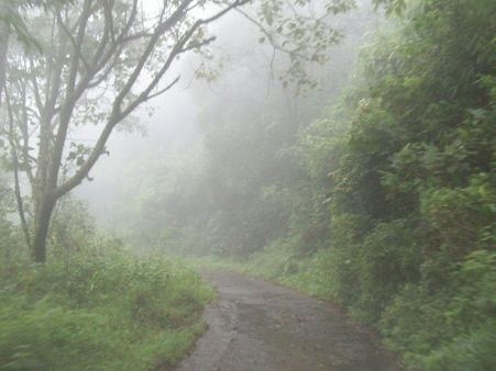 GAVI, KERALA