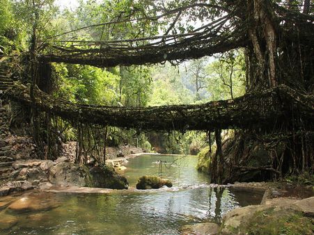 India's Natural Wonders