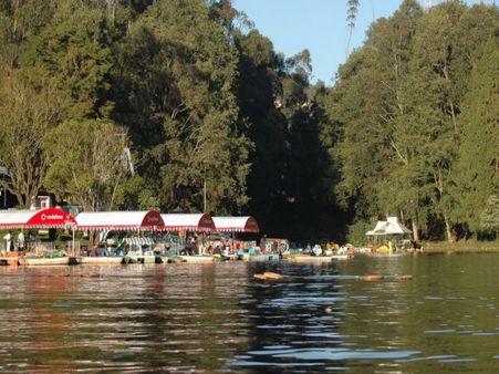 Back to Bangalore! Ooty - Bangalore
