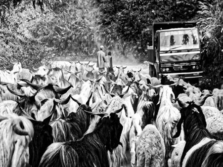 Experience the Countryside