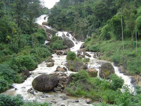 Strolling Around Munnar - Day 3 Strolling Around Munnar - Day 3