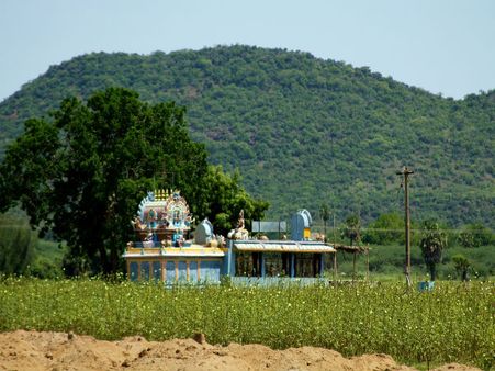 A Visit by the Chinese Traveller