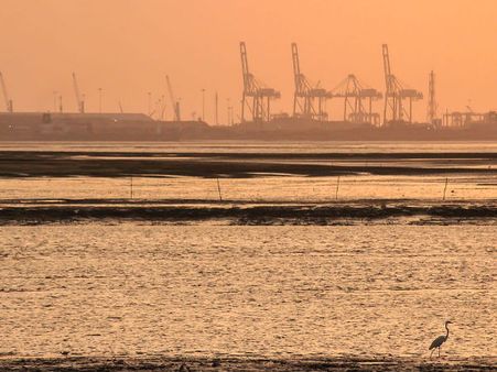 Dumas Beach: Haunted Beach