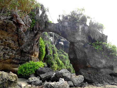 Neil's Island: Coral Bridge