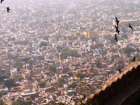 A View of Pink A View of Pink