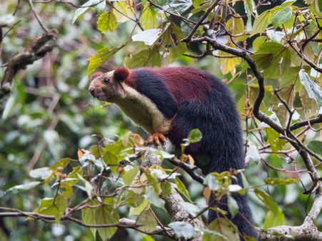 The Peaceful Silent Valley