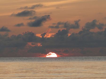 Enticing Havelock Island