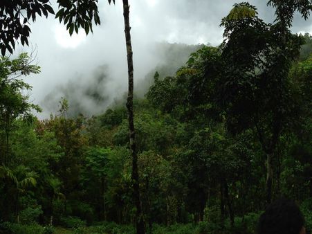 Glimpses of rain in Kerala
