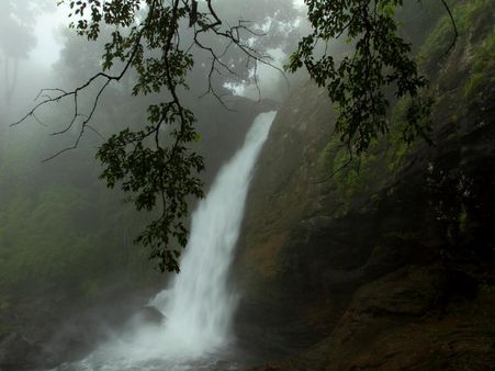 Glimpses of rain in Kerala