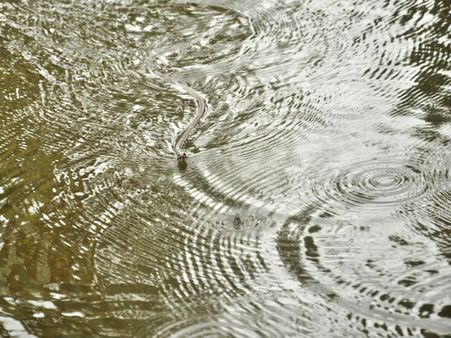 Glimpses of rain in Kerala