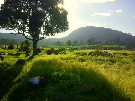 10 One day destinations from Bangalore - Yelagiri Hills