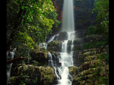 Talakona Falls in Andhra Pradesh