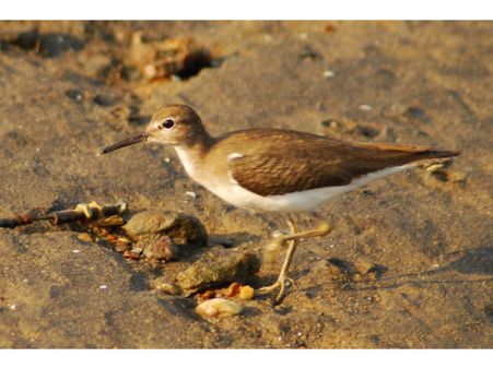 Timings of the Kadalundi Bird Sanctuary