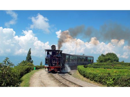 Management Of The DHR 