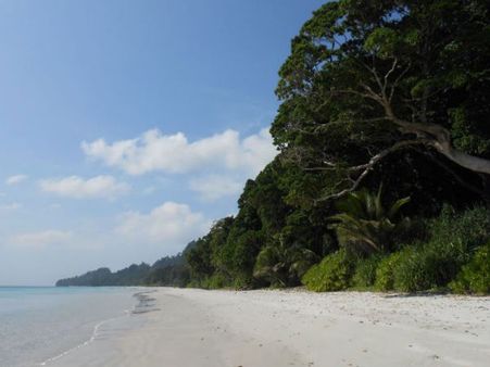 14. Radhanagar Beach, Andaman And Nicobar Islands