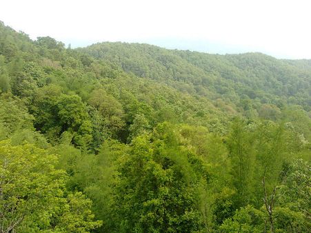 6. Parambikulam Wildlife Sanctuary