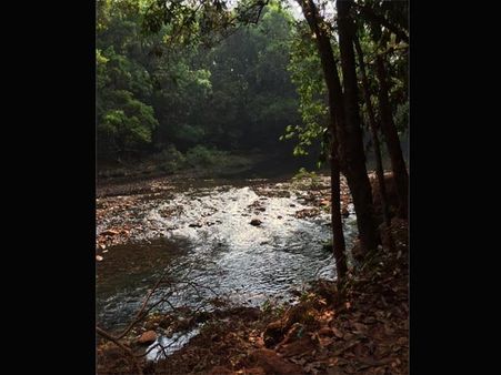 Off-Roading To The Falls