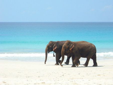 11. Andaman And Nicobar Islands