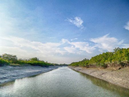 12. Sundarbans