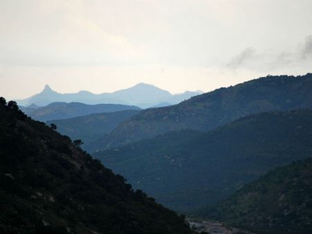 Short Stop At Devanahalli Short Stop At Devanahalli
