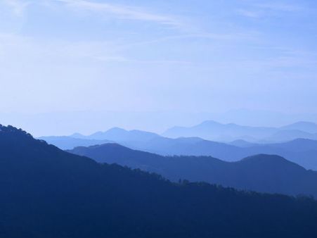 Bisle Rainforests, Western Ghats