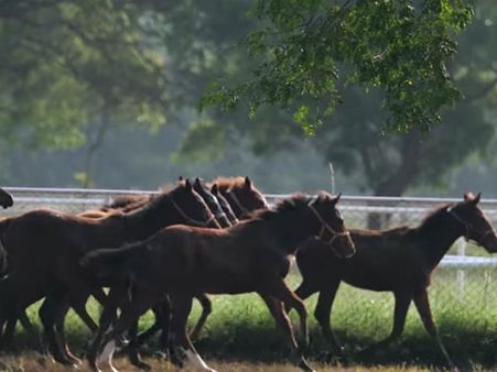 Bangalore To Thirthahalli Via Kunigal
