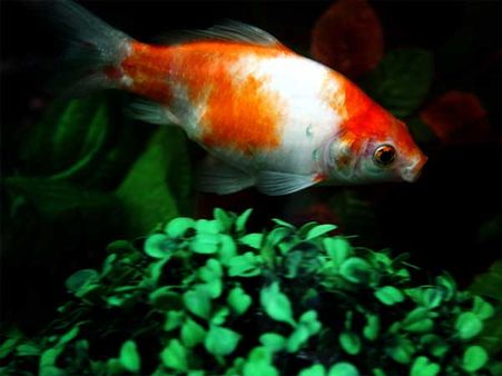 Samudrika Marine Museum Samudrika Marine Museum