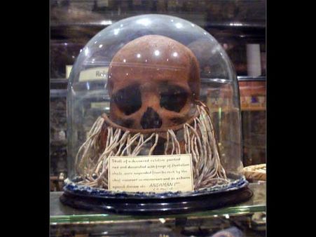 Anthropological Museum Anthropological Museum