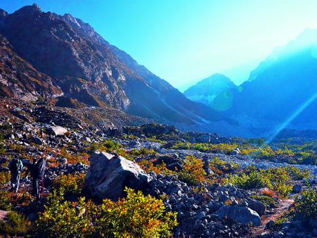  Valley Of Flowers In Uttarakhand