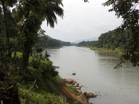 Thattekad Bird Sanctuary, Kerala