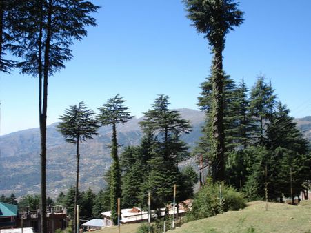 How To Reach Patnitop