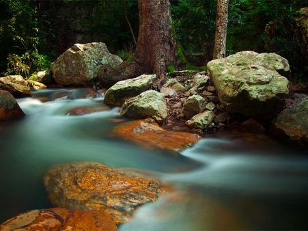 Talakona Waterfalls
