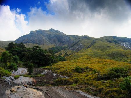 Mathikettan Shola National Park