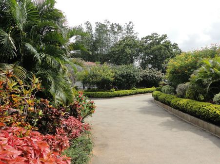 Hirwa Van Garden Hirwa Van Garden