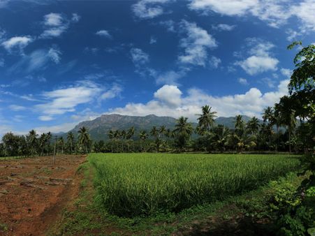 Kolli Hills