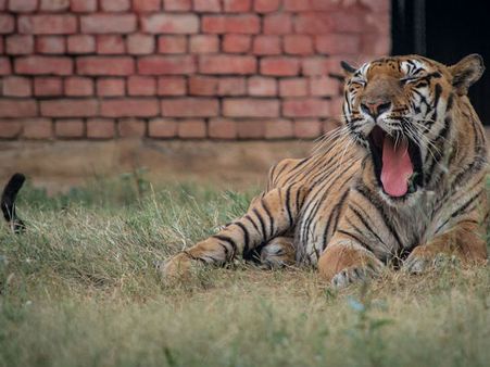 Tilyar Lake, Haryana Tilyar Lake, Haryana