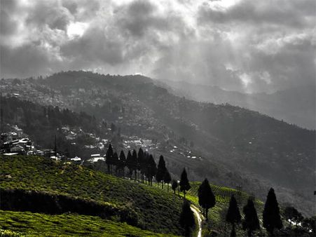 Siliguri To Darjeeling