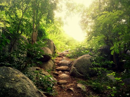 37. Yelagiri Hills 37. Yelagiri Hills