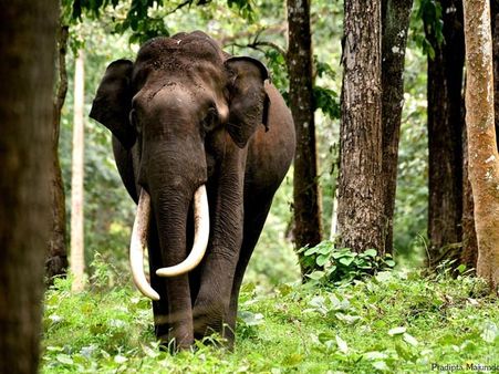 41. Kabini 41. Kabini