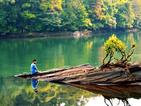 46. Dandeli 46. Dandeli