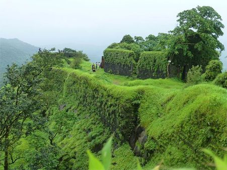 1. Karnala