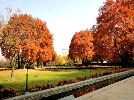 Verinag Garden Verinag Garden