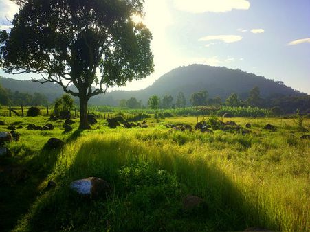 3. Yelagiri 3. Yelagiri